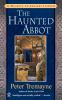 The_haunted_abbot