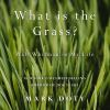 What_Is_the_Grass