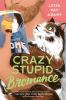 Crazy_stupid_bromance
