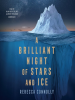 A_brilliant_night_of_stars_and_ice