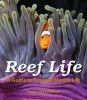 Reef_life