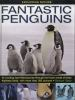 Fantastic_penguins