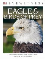Eagles___birds_of_prey