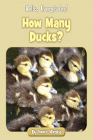 Hello__Everglades___How_Many_Ducks_