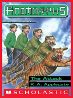 The_Attack
