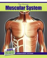 The_human_muscular_system