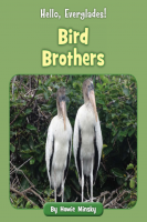 Hello__Everglades___Bird_Brothers