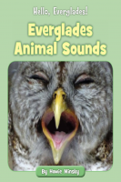 Hello__Everglades___Everglades_Animal_Sounds