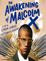 The_Awakening_of_Malcolm_X