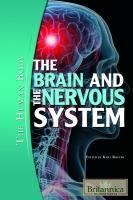 The_brain_and_the_nervous_system