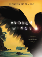 Broken_Wings