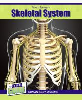 The_human_skeletal_system