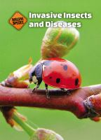 Invasive_insects_and_diseases